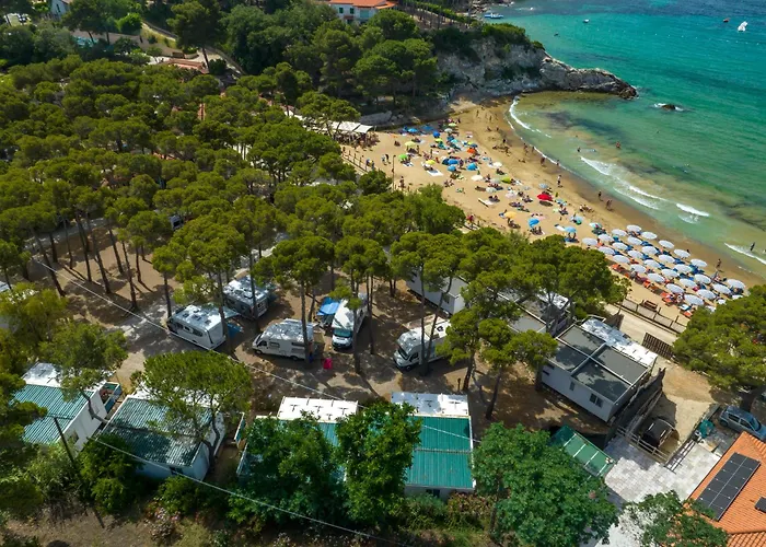 キャンプ場 Europa