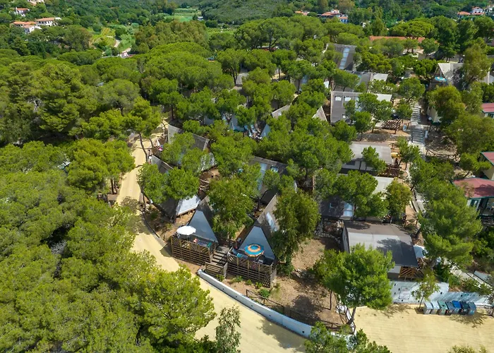 Europa キャンプ場 *